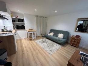 BLUE Studio cosy et calme proche du centre avec TV et Wifi